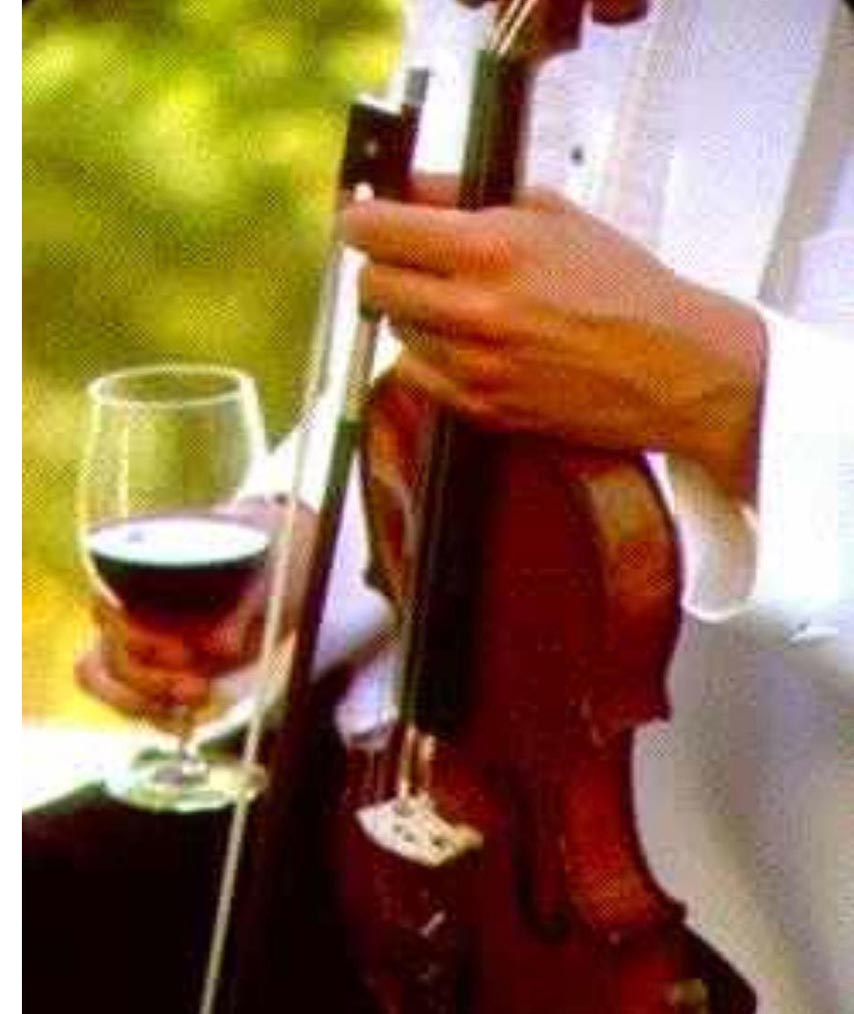 photo of violinist with a glass of wine